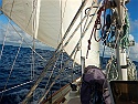 090 All Sails Up